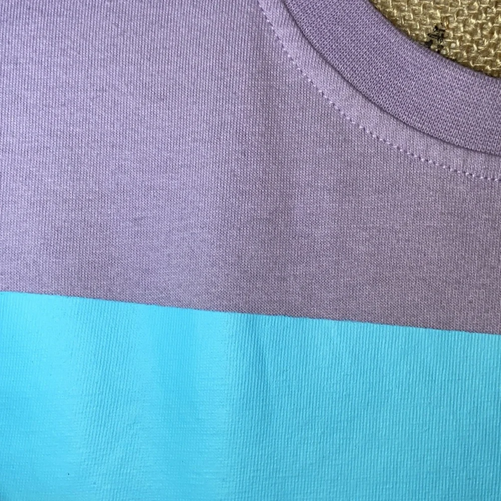 Disney The Muppets Kermit Purple Long Sleeve Graphic Sweatshirt Small
